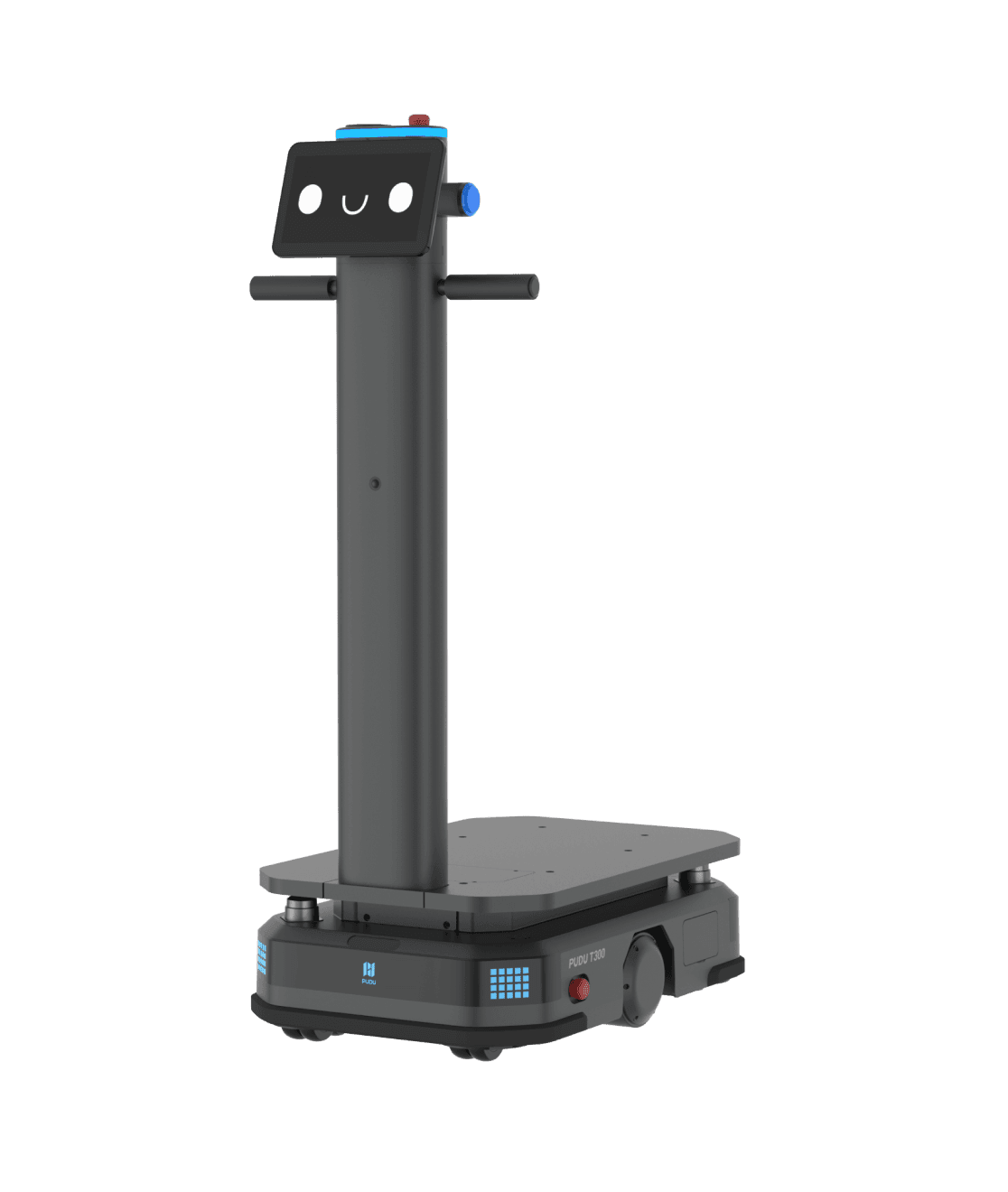 Platform delivery robot